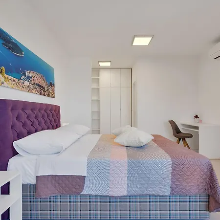 Luxury Apartment