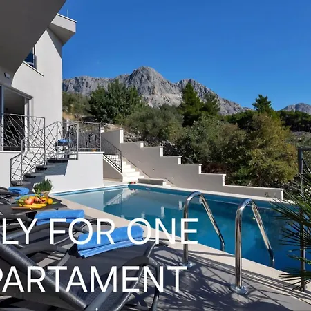 Luxury Apartment